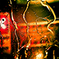 kelly_fletcher