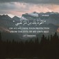 hamza762605