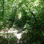 dimitrijj250289