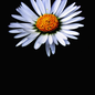 akshat.rastogi3