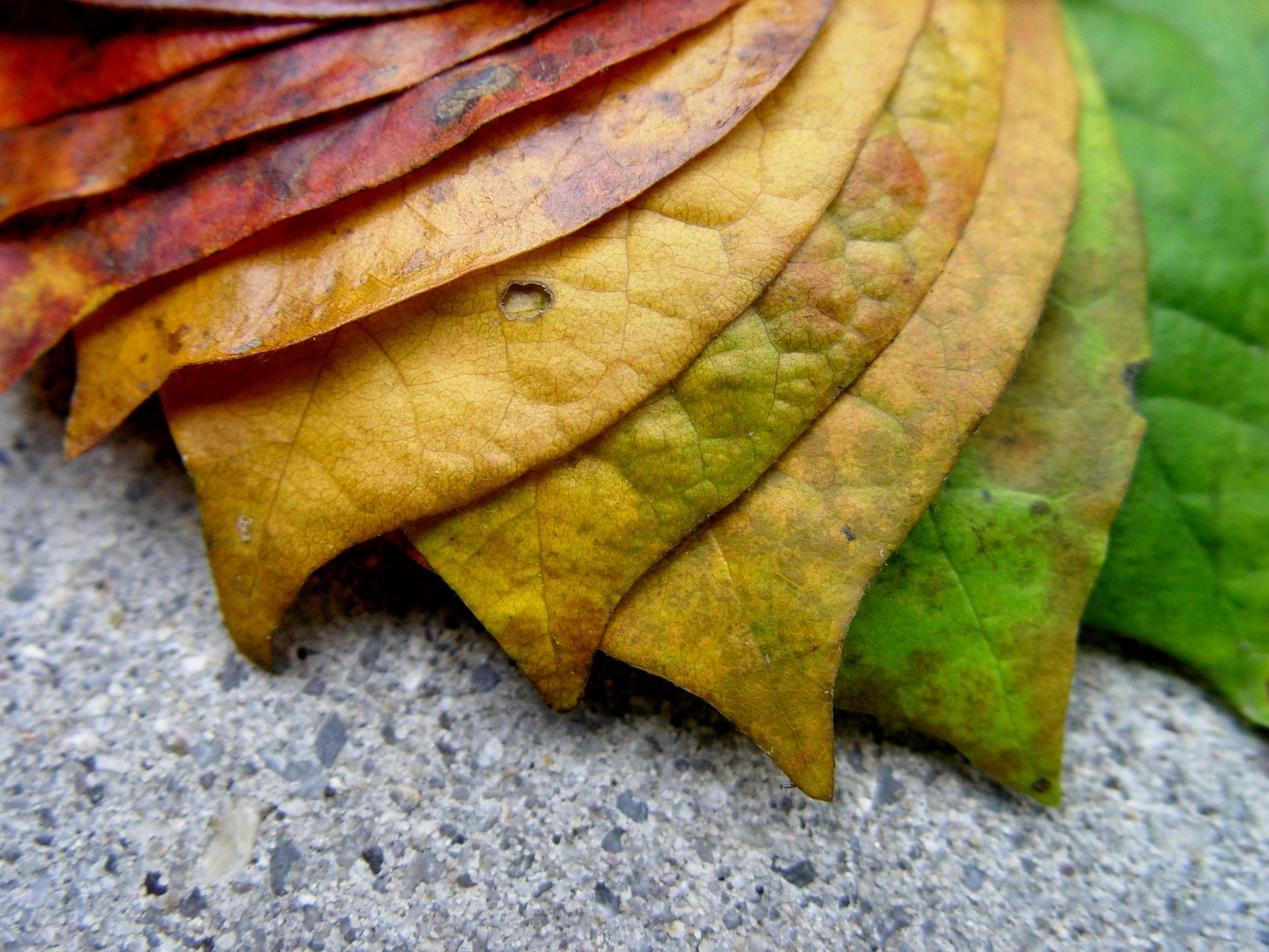 The Change Of Seasons