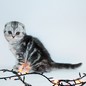 alina_alex98_98