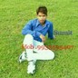 sumitorang4156
