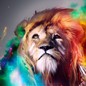 user.ed9d6