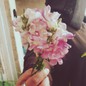 lojaynsalem23
