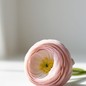 yusifmamedov680